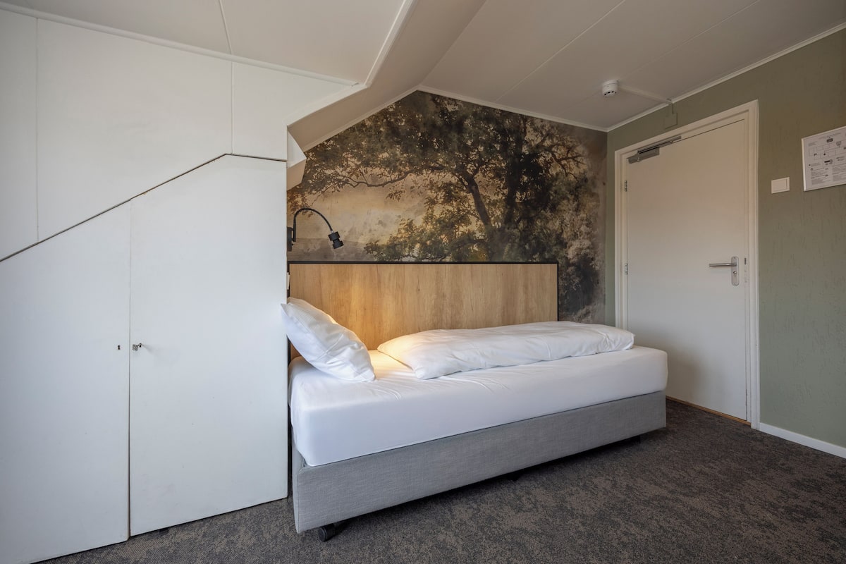 Single Room | Desk, free WiFi