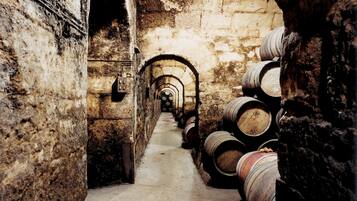 Una bodega subterránea con paredes de piedra y barriles de madera.