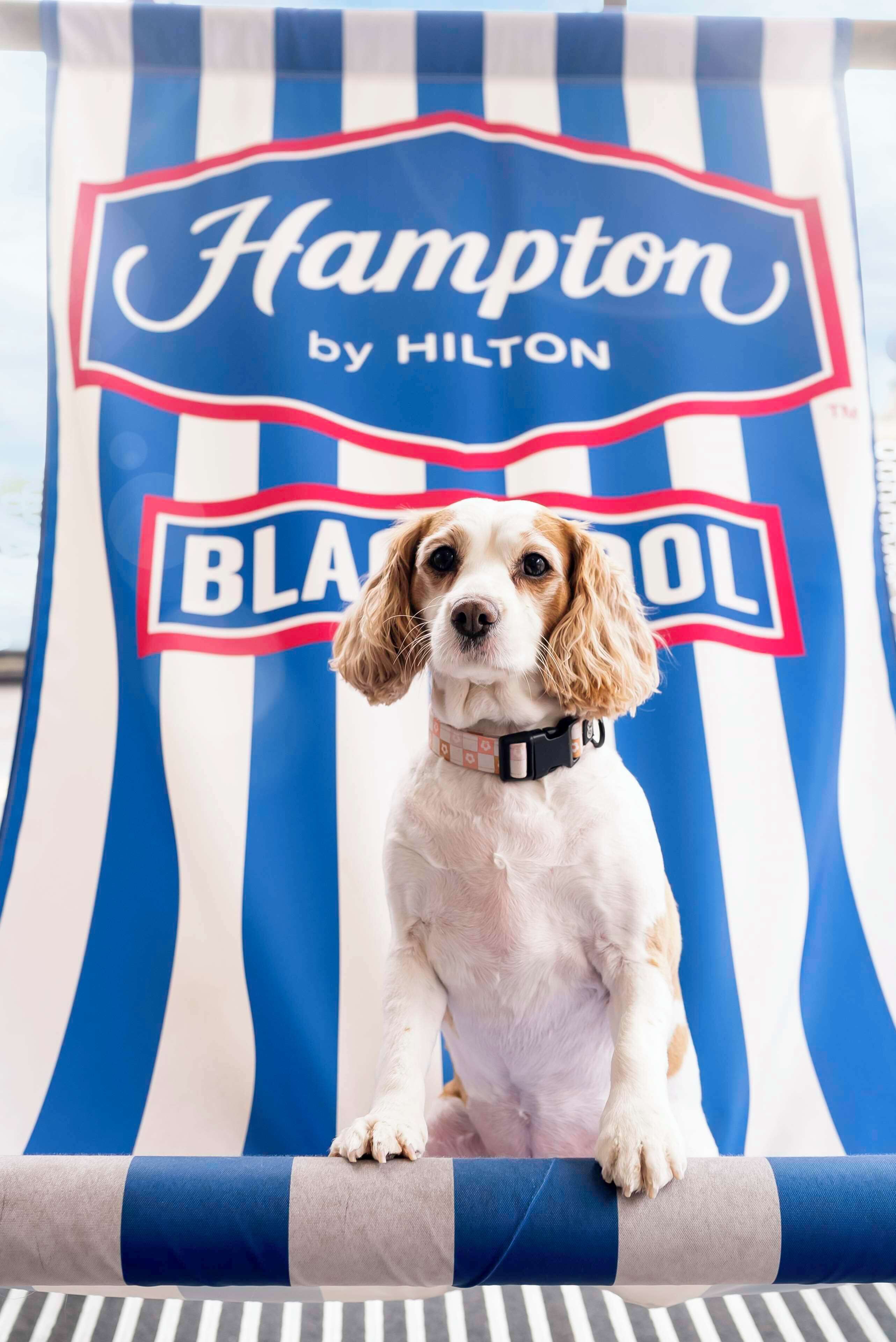 Photo - Hampton By Hilton Blackpool