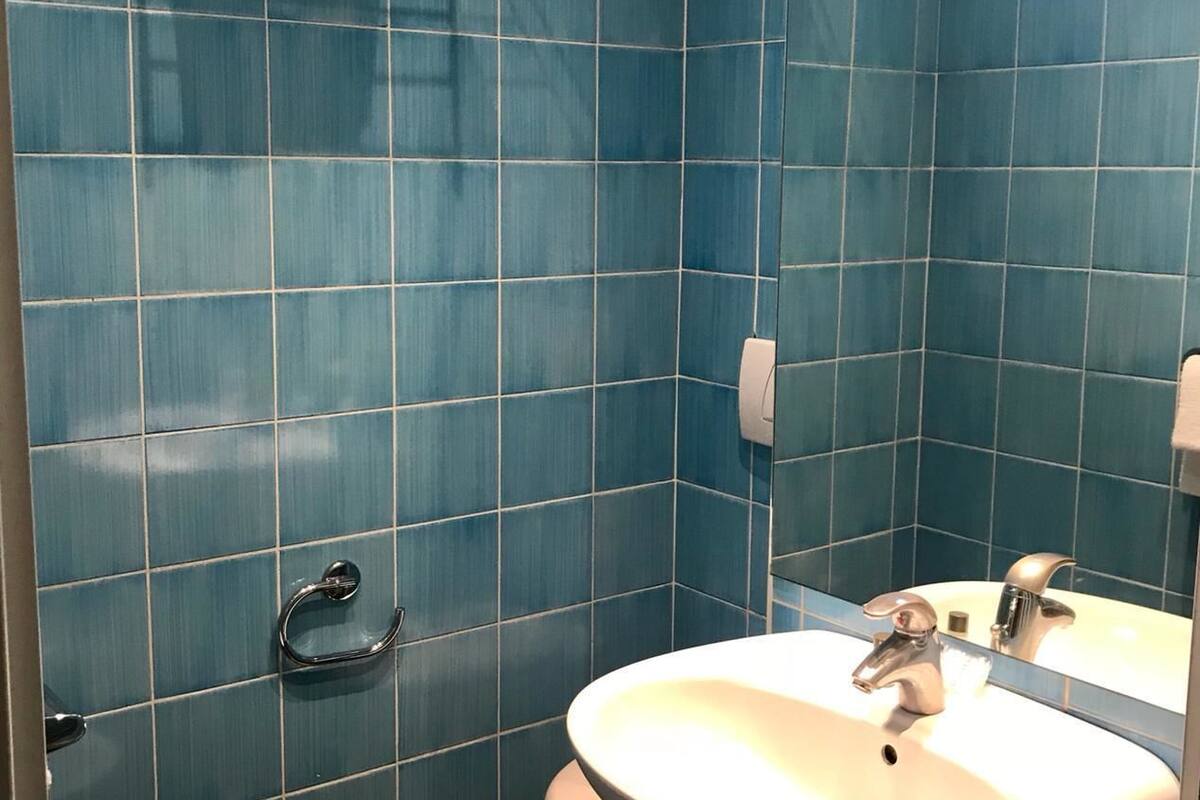 shower, free toiletries, hair dryer, bidet