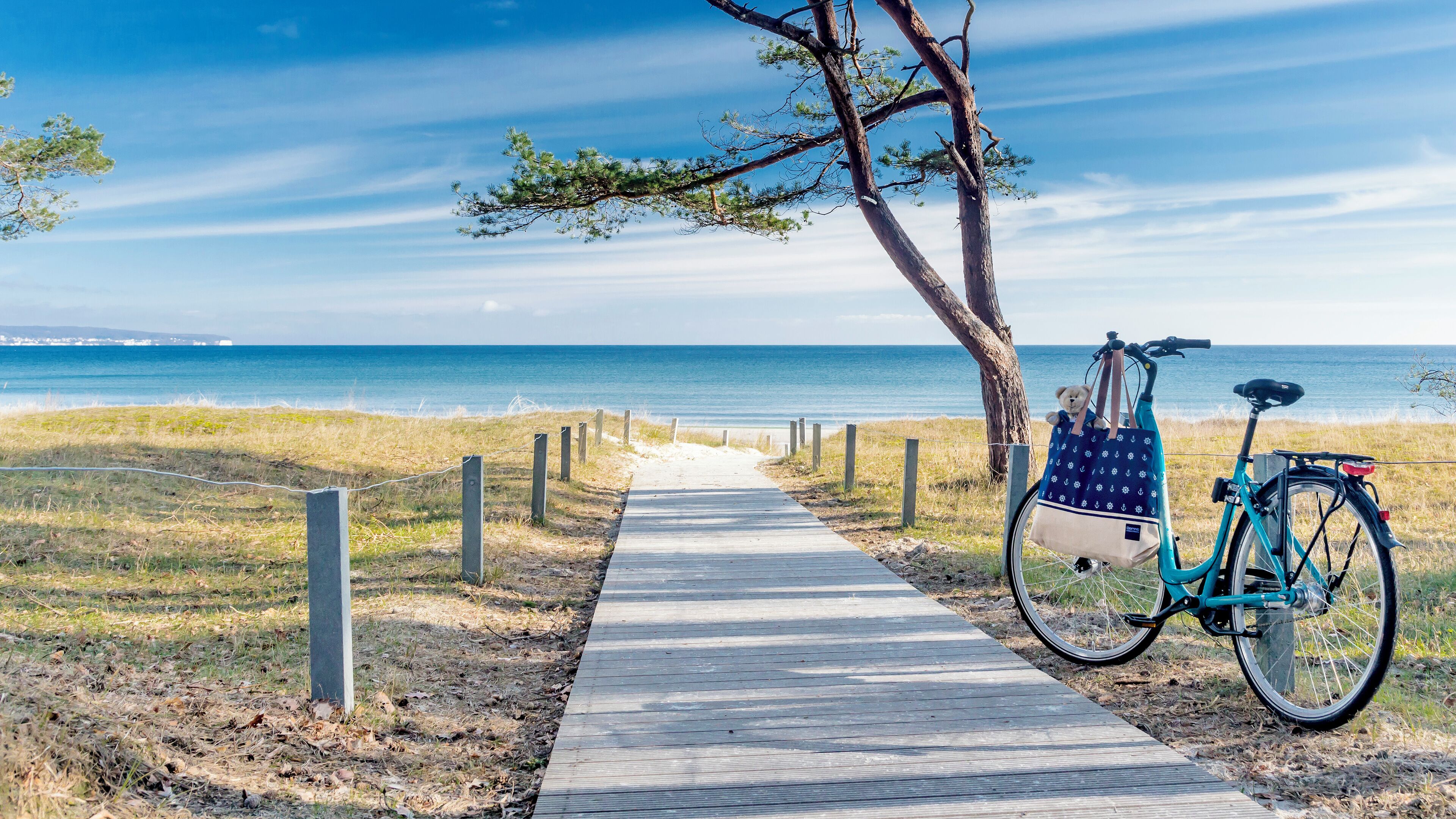 A wooden pathway leading to a beach with a bicycle parked by a tree.