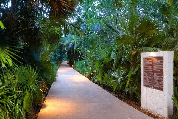 Sports facility - Catalonia Playa Maroma – All Inclusive (Playa del Carmen)