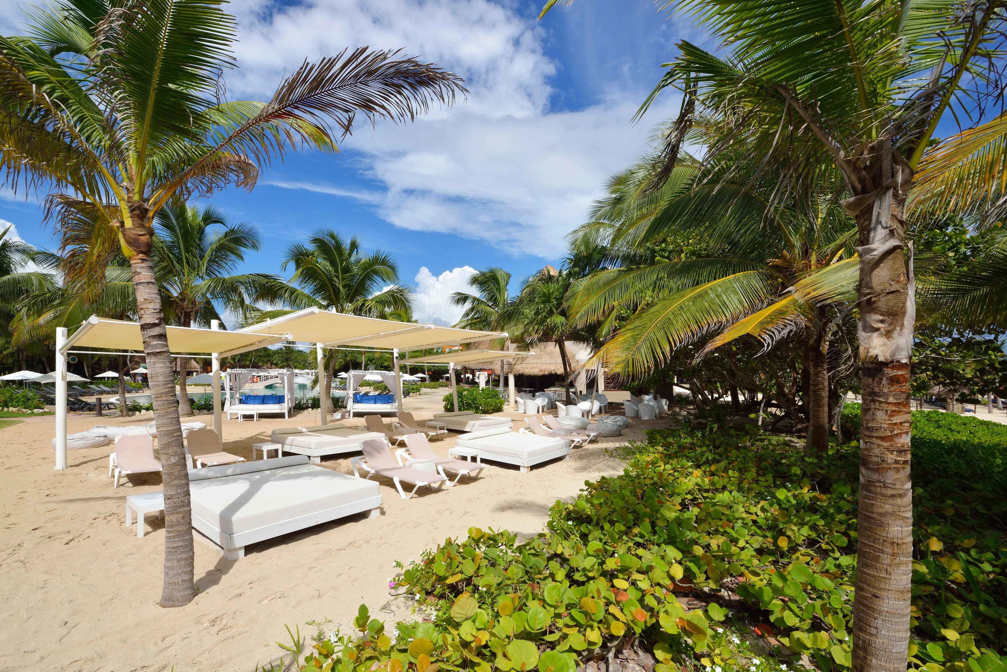 Un resort frente a la playa con tumbonas, sombrillas y palmeras.