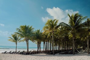 A beach with rows of sun loungers and palm trees.