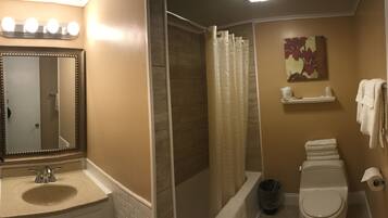 Family Suite | Bathroom amenities