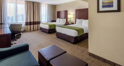 Comfort Inn St Petersburg North