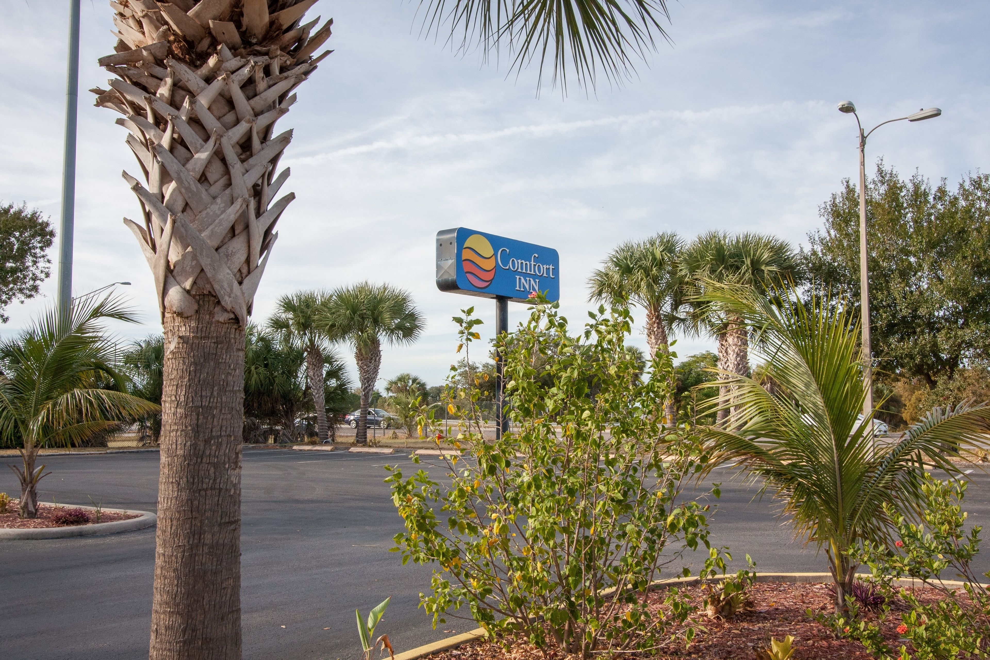 Photo - Comfort Inn St Petersburg North