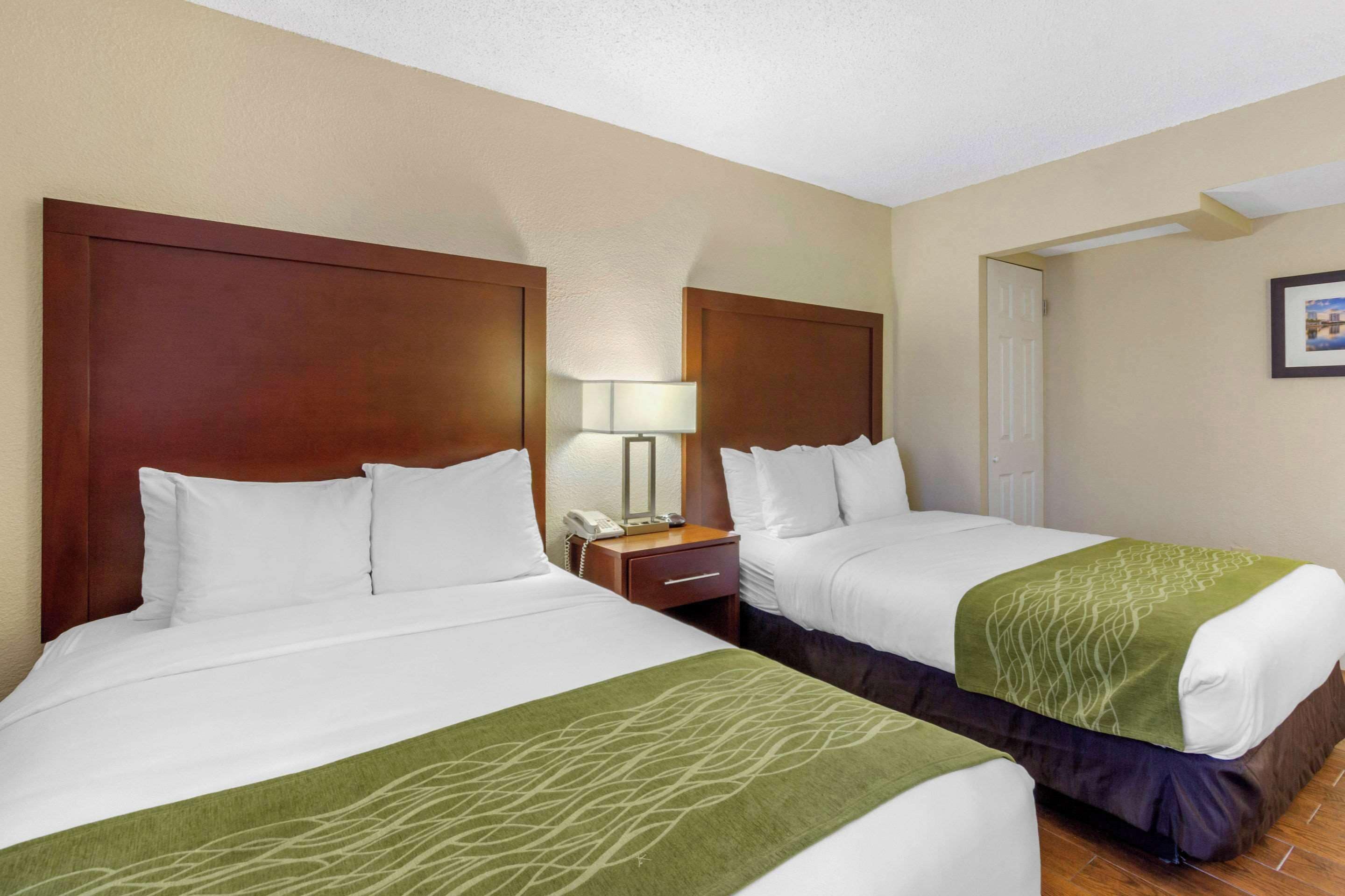 Photo - Comfort Inn St Petersburg North