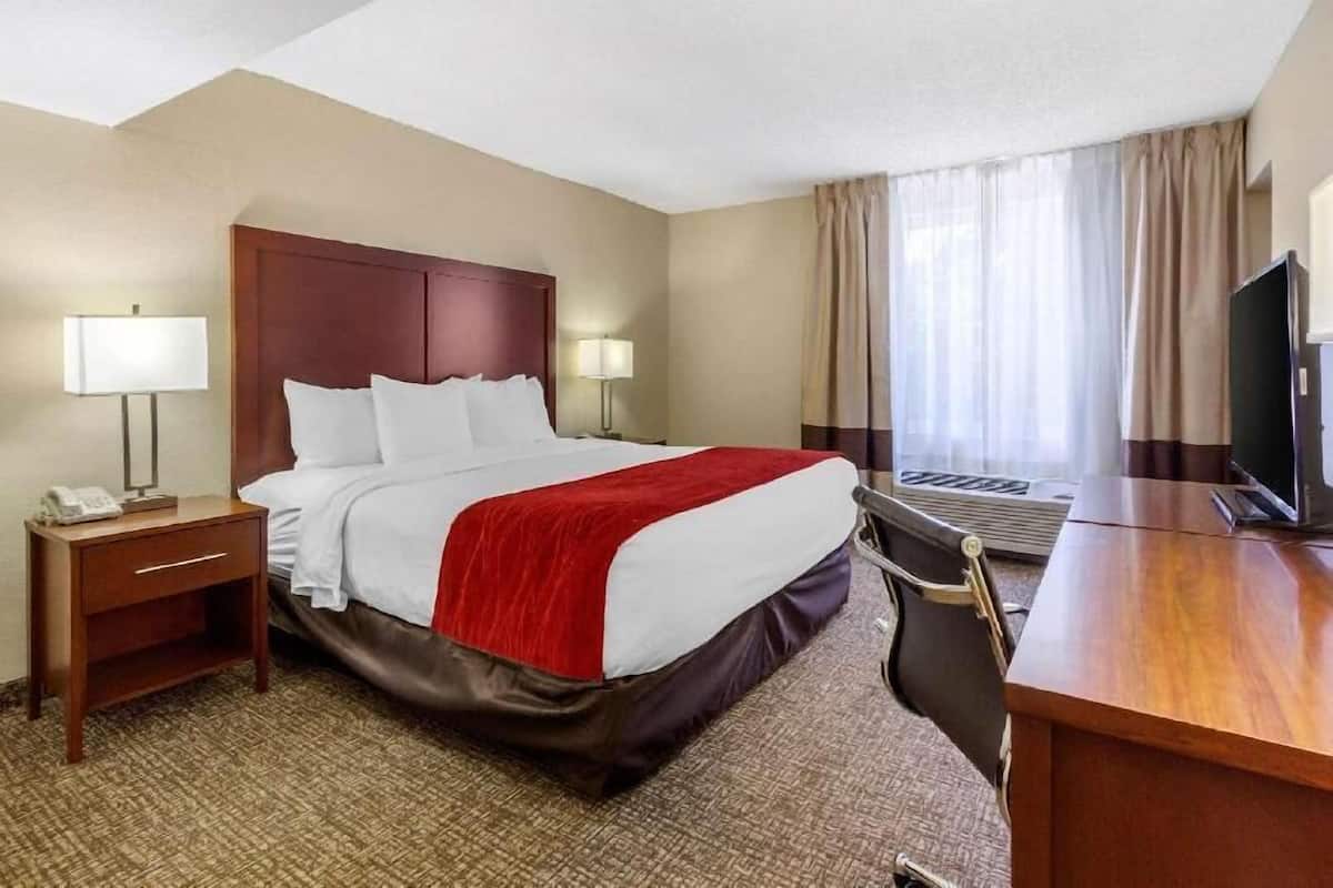 Habitación de hotel con cama, dos mesitas de noche con lámparas, escritorio con silla, televisor y ventana con cortinas.