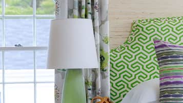 Classic Room, 1 King Bed | View from room