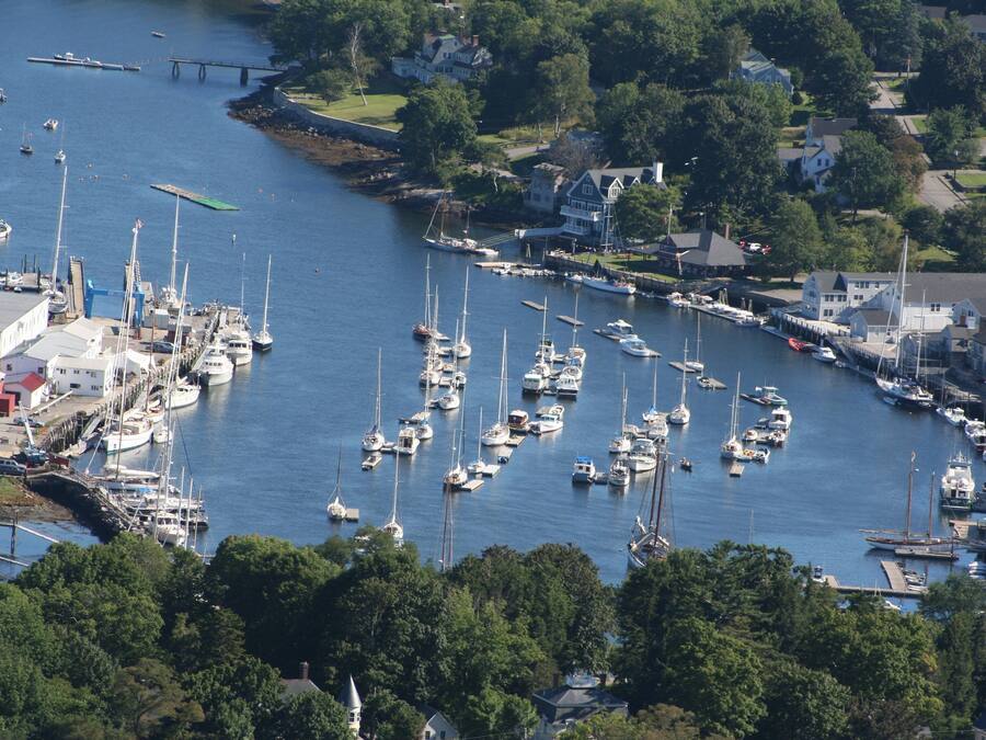 A marina with numerous boats docked, surrounded by residential buildings and greenery.