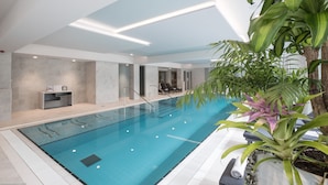 Una piscina interior con agua cristalina, rodeada por un diseño moderno que incluye un accesorio de iluminación en el techo y una planta en maceta.