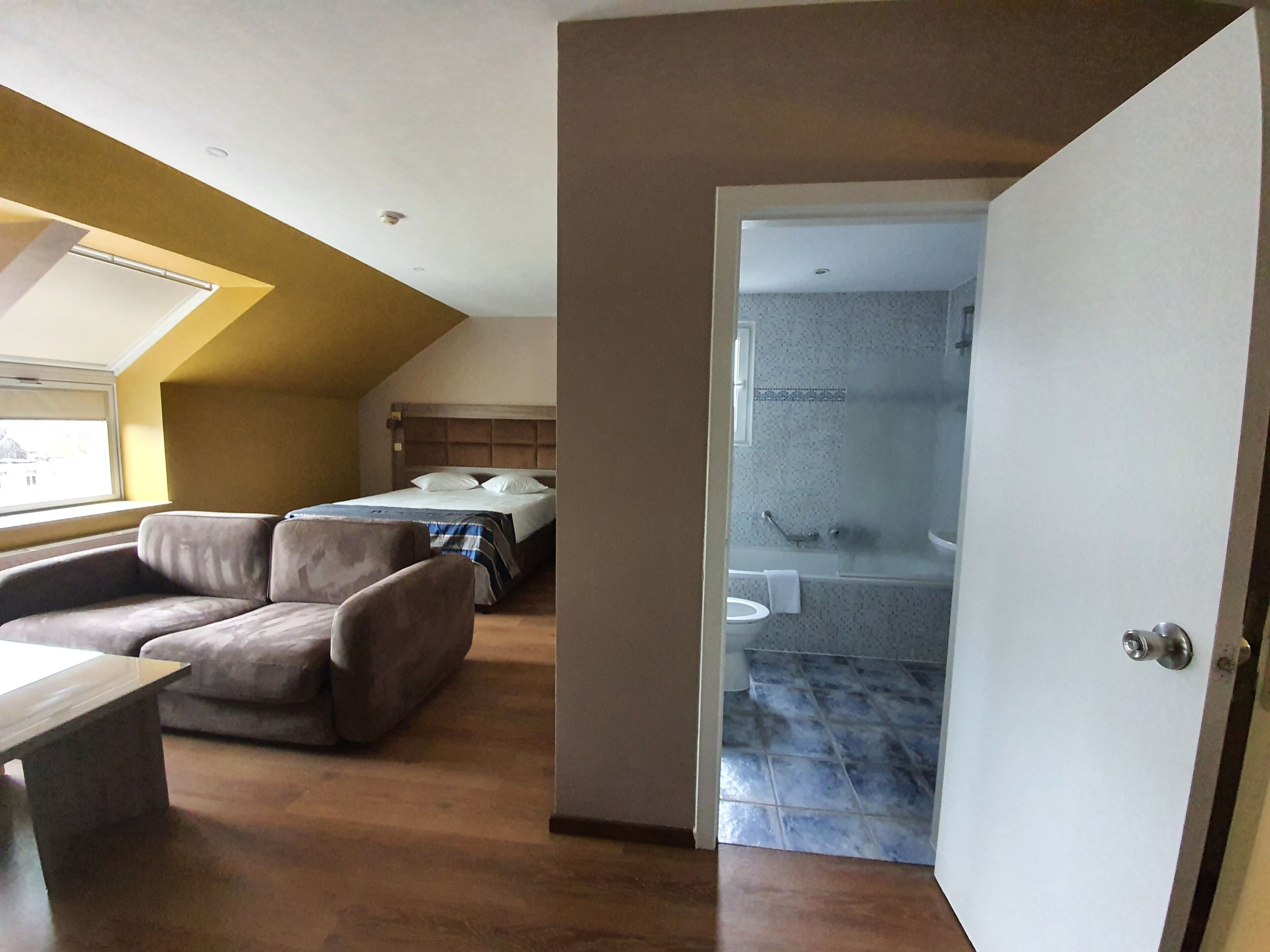 A bedroom with a bed, a sofa, and a bathroom with a shower and toilet.