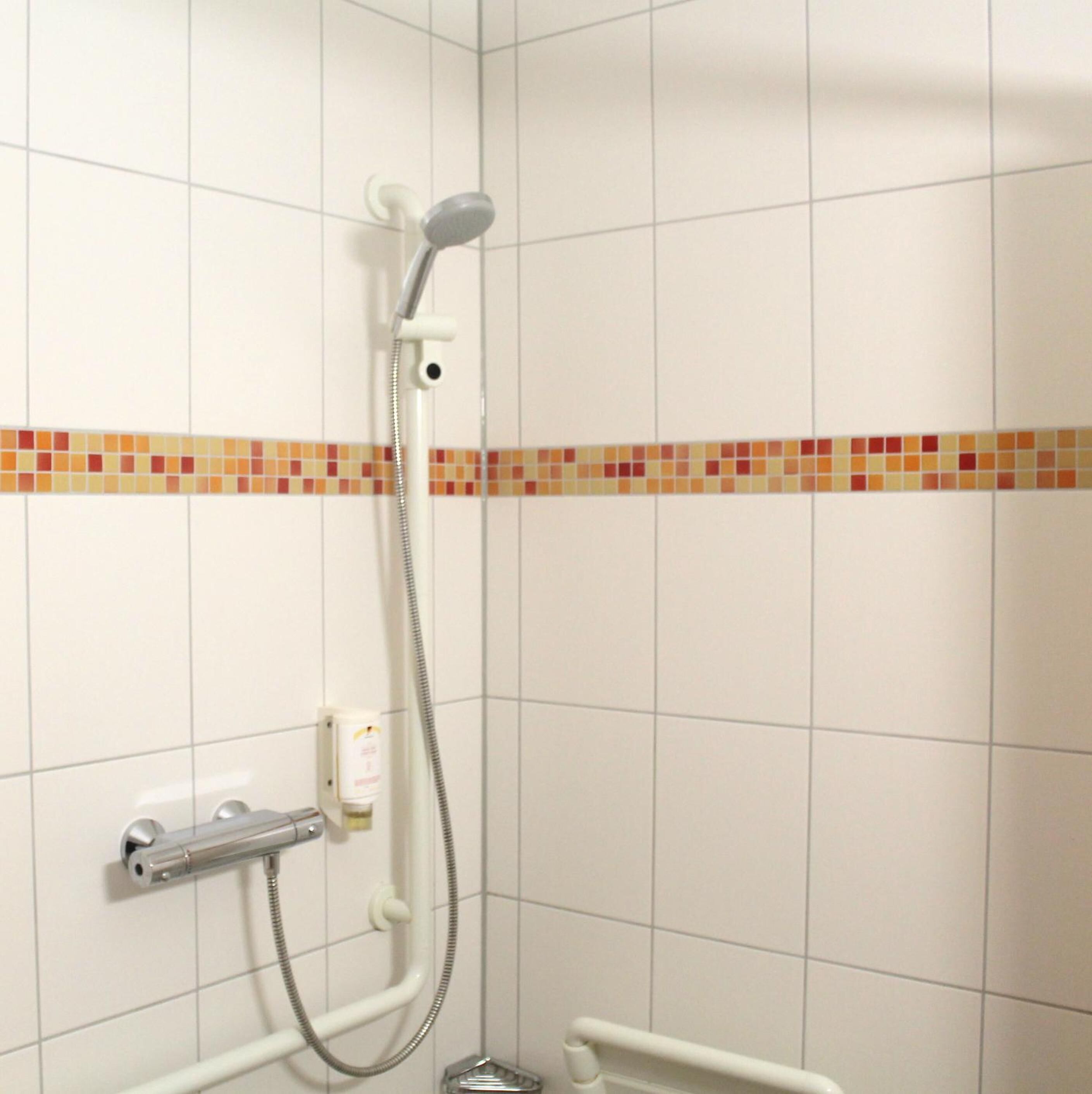 A shower with a handheld showerhead and a handheld hose.