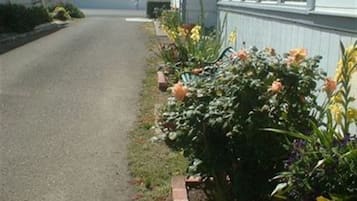 Jardin