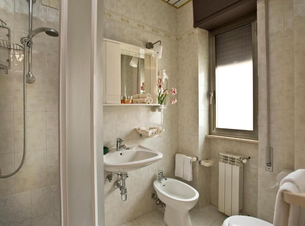 shower, free toiletries, hair dryer, bidet