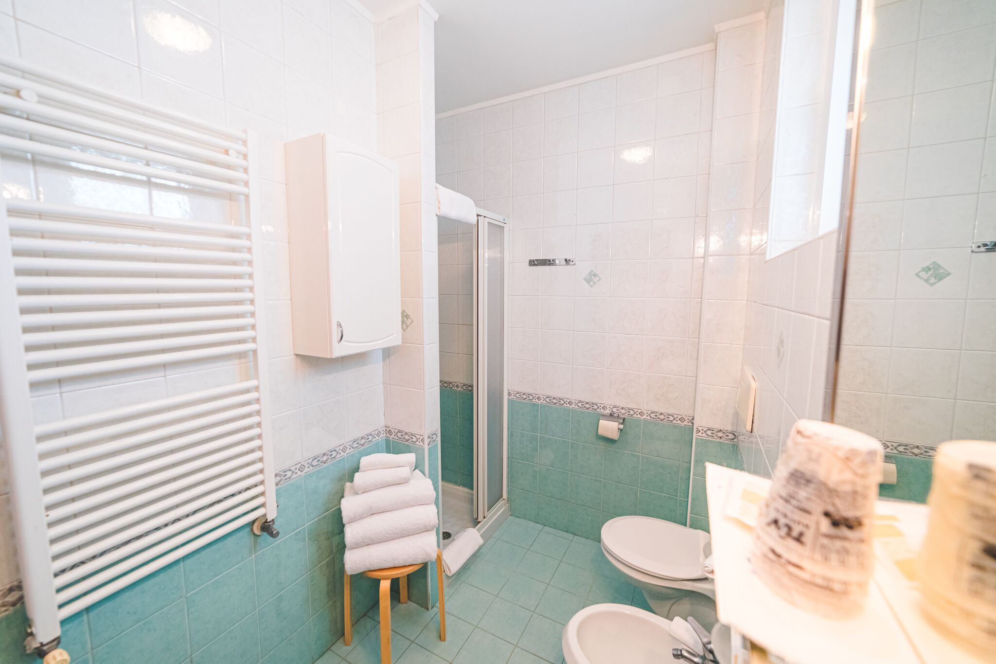 shower, hair dryer, bidet, towels