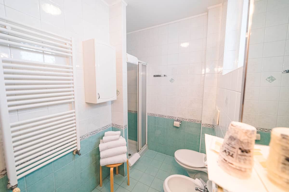 shower, hair dryer, bidet, towels