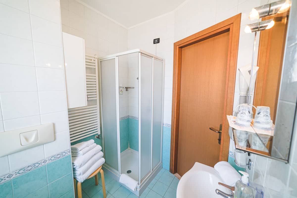 shower, hair dryer, bidet, towels