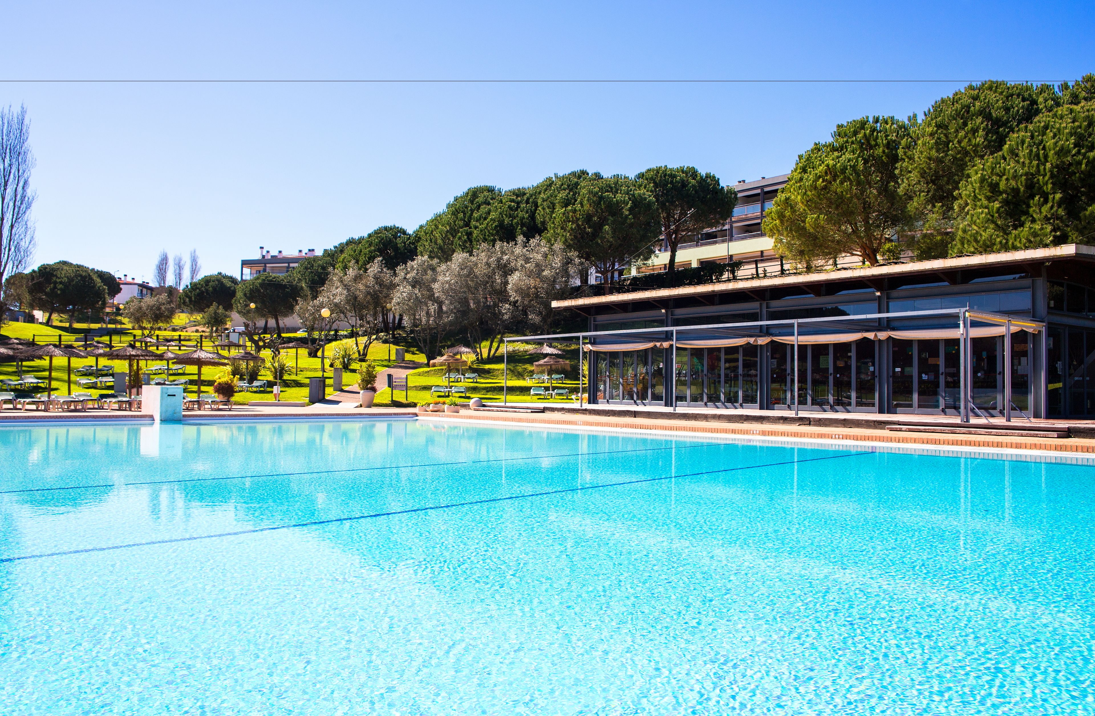 Outdoor pool, pool umbrellas, sun loungers