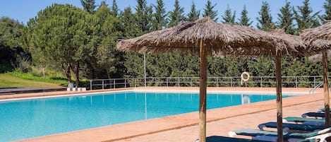 Ein Schwimmbecken mit Liegestühlen und Strohdächern, umgeben von Bäumen.