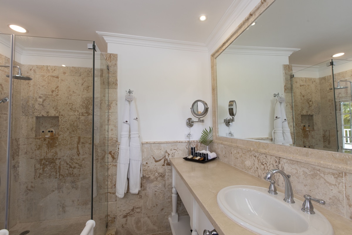 Separate tub and shower, free toiletries, hair dryer, bathrobes