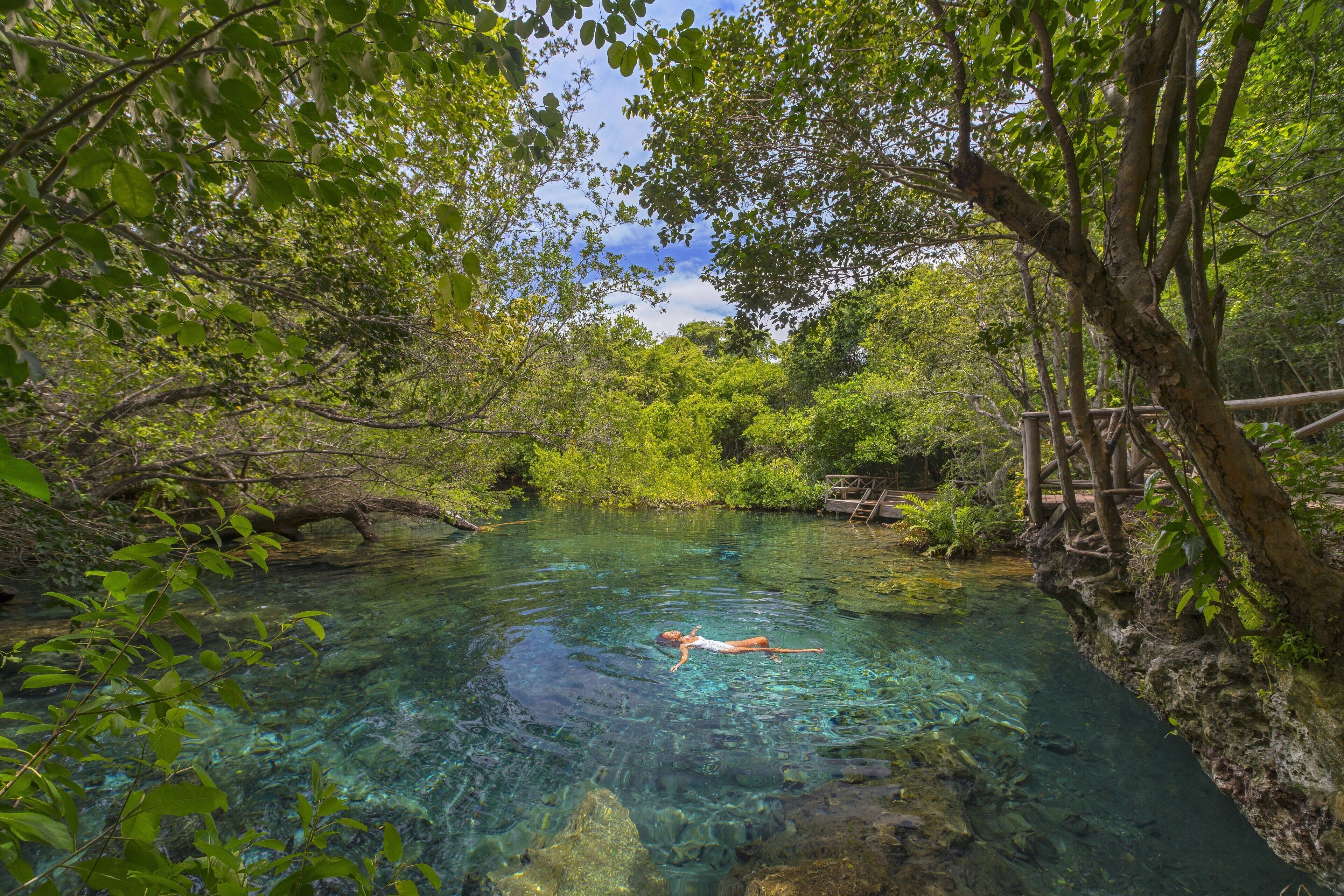 Una piscina limpida e naturale circondata da vegetazione rigogliosa e un ponte di legno.