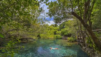 Una piscina limpida e naturale circondata da vegetazione rigogliosa e un ponte di legno.