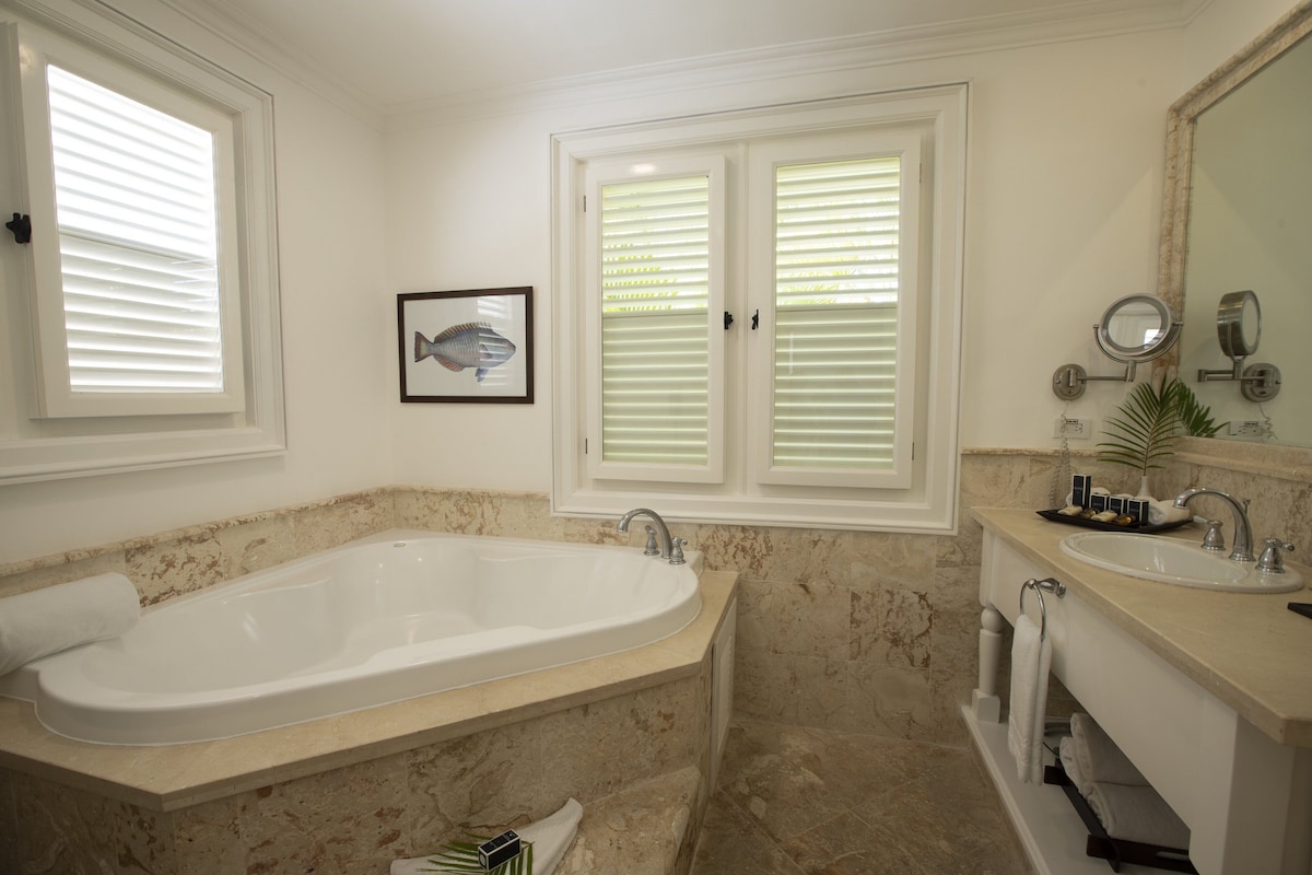 Separate tub and shower, free toiletries, hair dryer, bathrobes