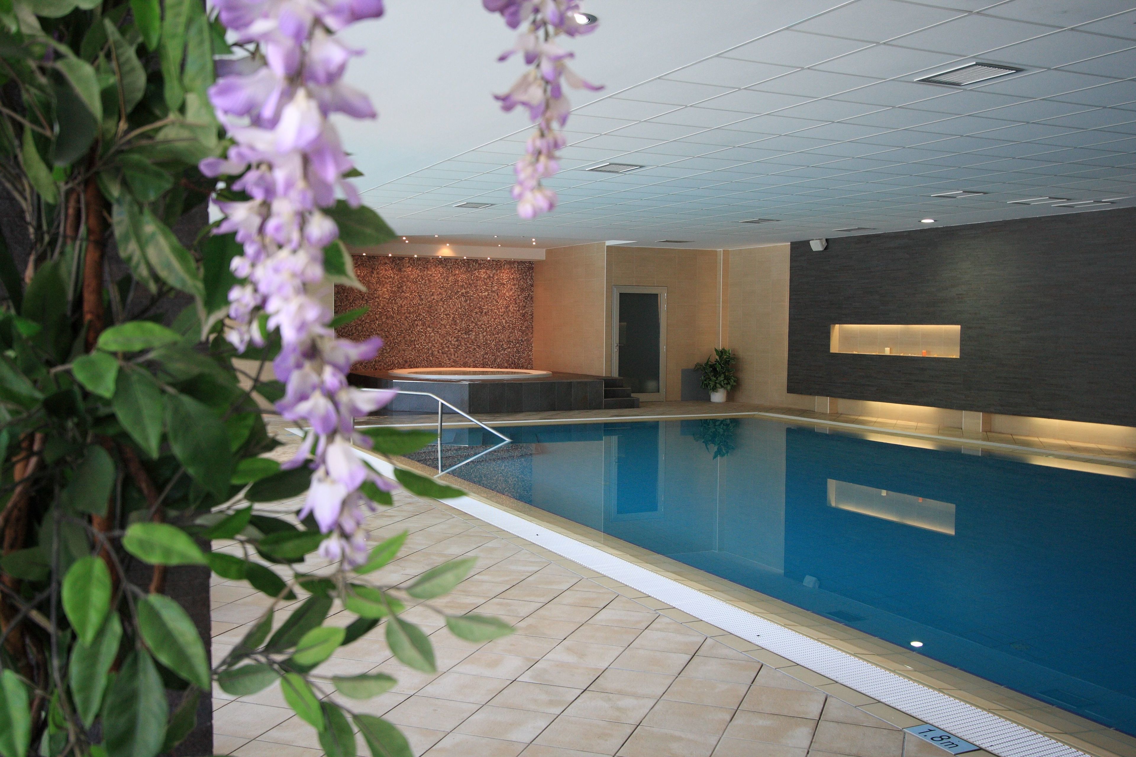 Una piscina interior con suelo de baldosas, una zona de recepción con mostrador y una pared con textura decorativa.