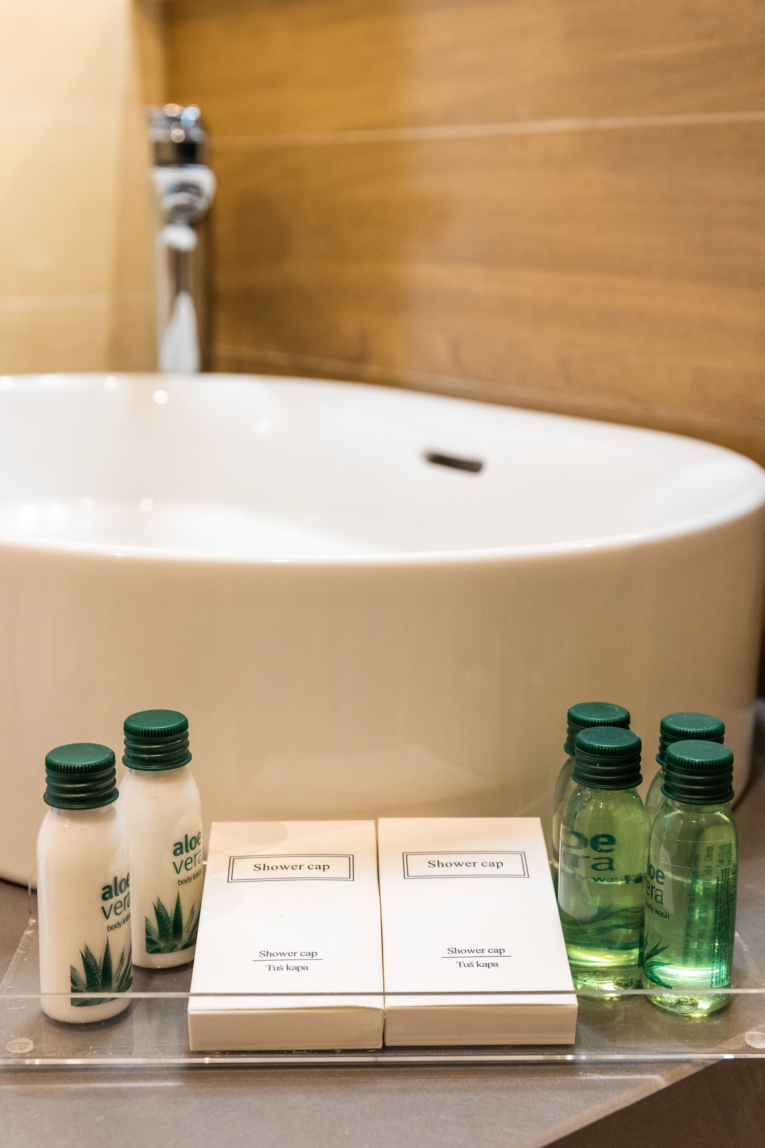 Un lavamanos con dos gorros de ducha y dos botellas de gel de baño con aloe vera.