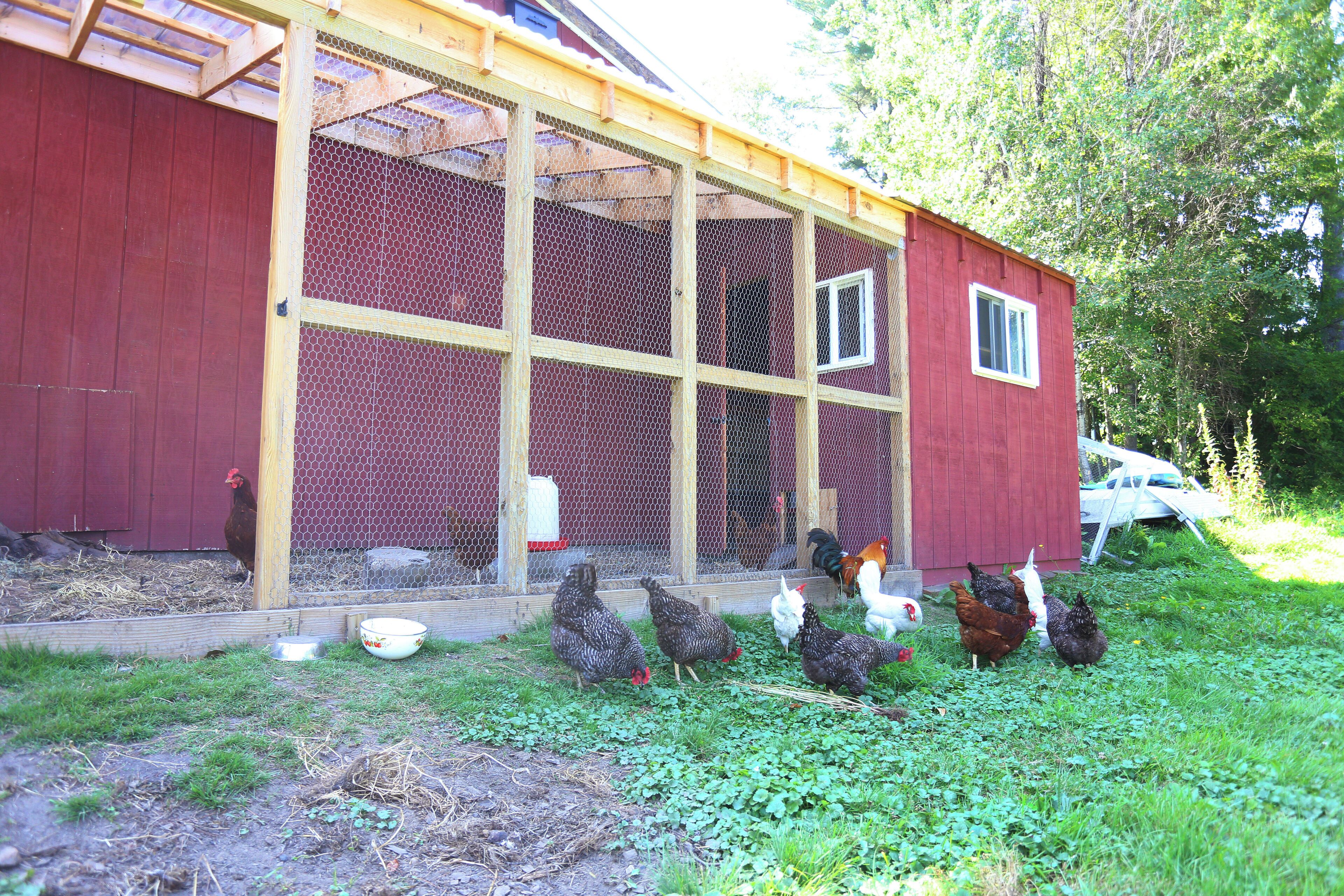 A red barn with a wooden porch and a chicken coop.