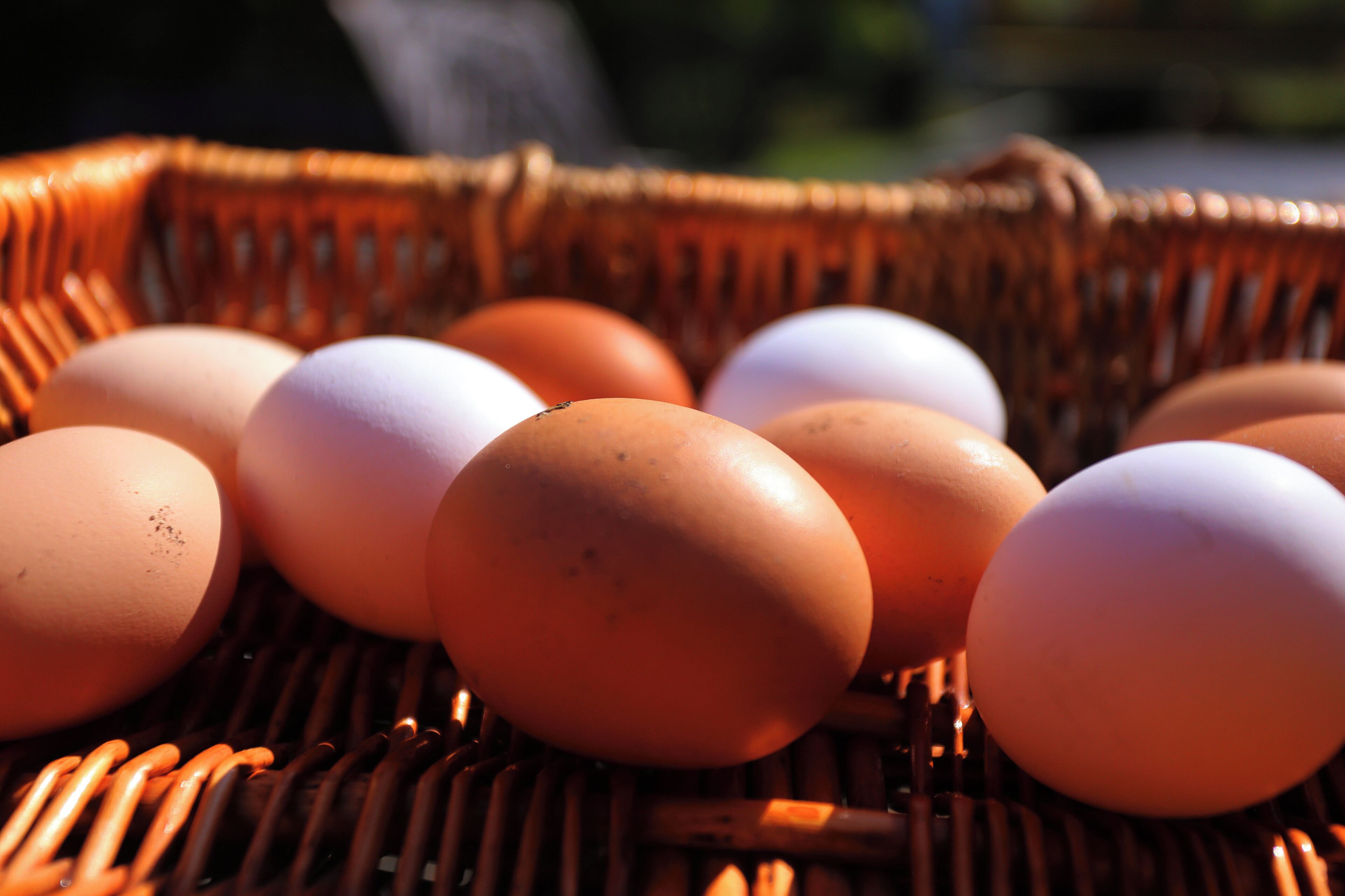 A wicker basket containing eggs.
