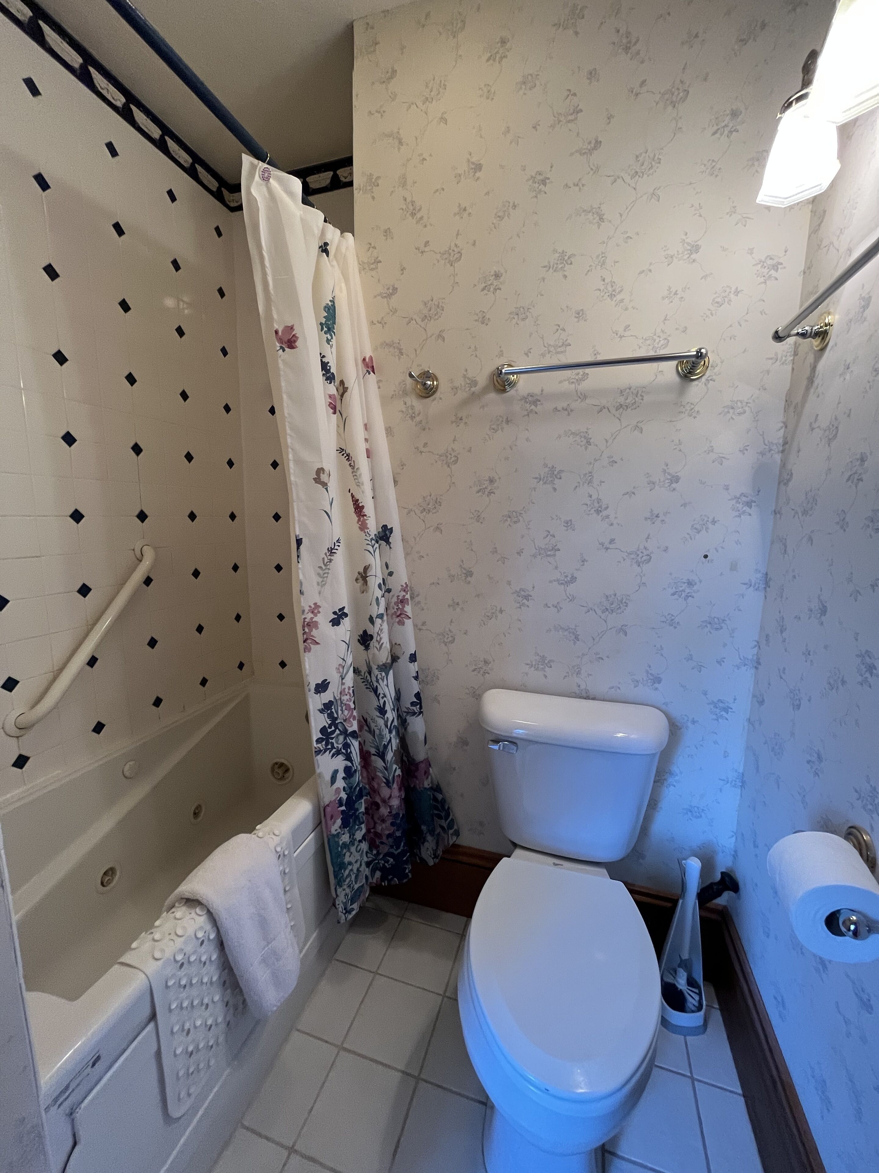 A bathroom with a shower, toilet, and handrail.
