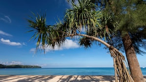 Una playa con agua azul cristalina, una orilla arenosa y una palmera.