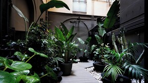 A narrow pathway flanked by potted plants in a courtyard. - Chic&Basic Born Boutique Hotel (Barcelona)