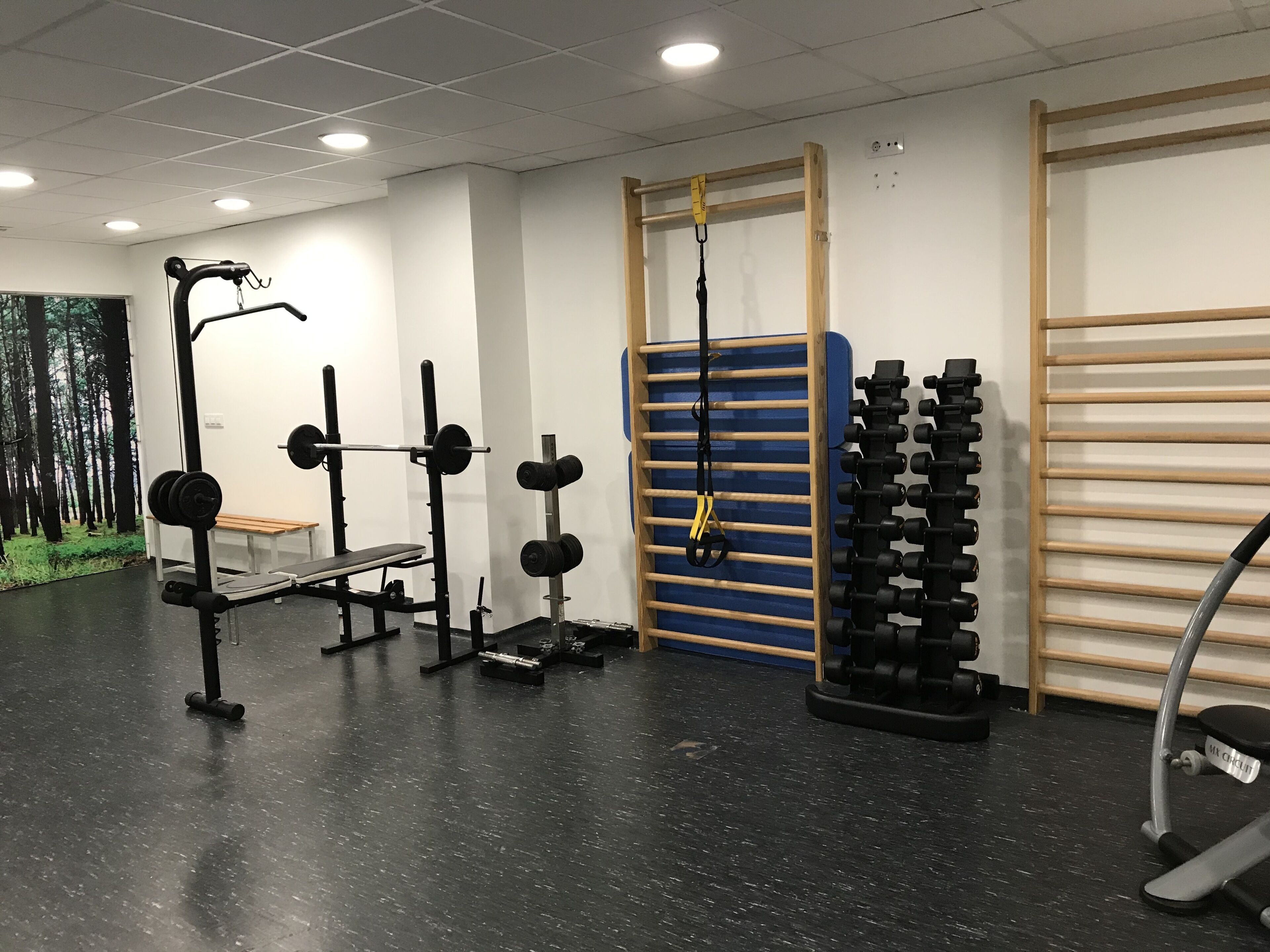 Un gimnasio con equipo de levantamiento de pesas, una banca y una barra de dominadas.