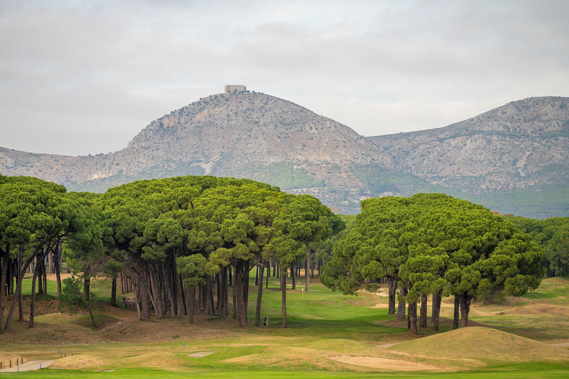 Un campo de golf con árboles y una montaña al fondo.