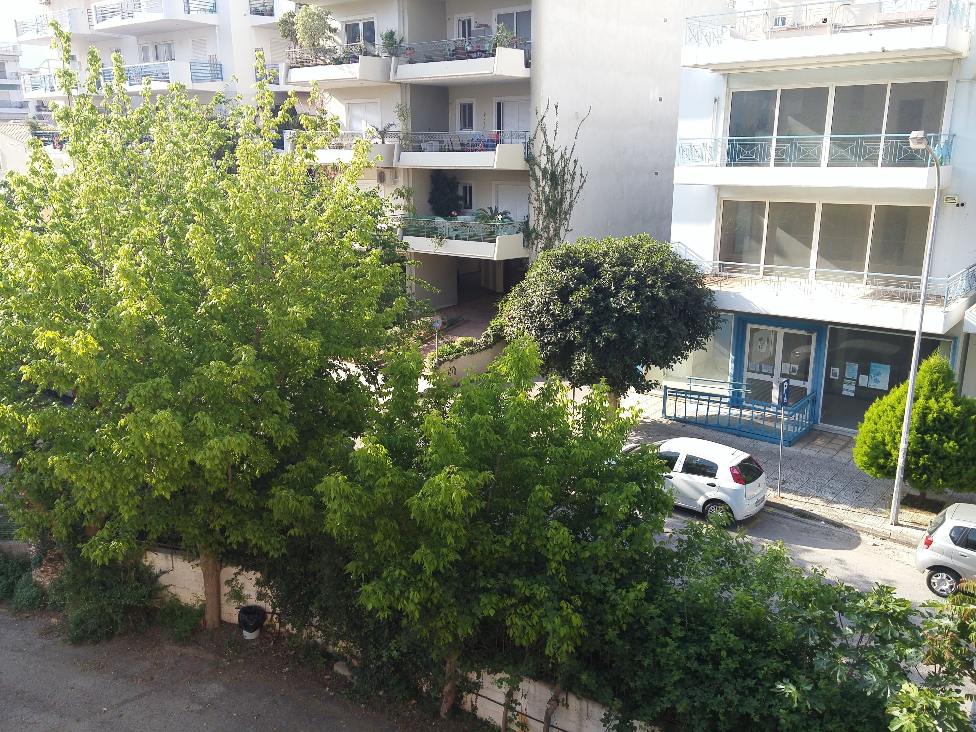 Un edificio residencial de varios pisos con balcones, una entrada protegida por un portón y un árbol en primer plano.