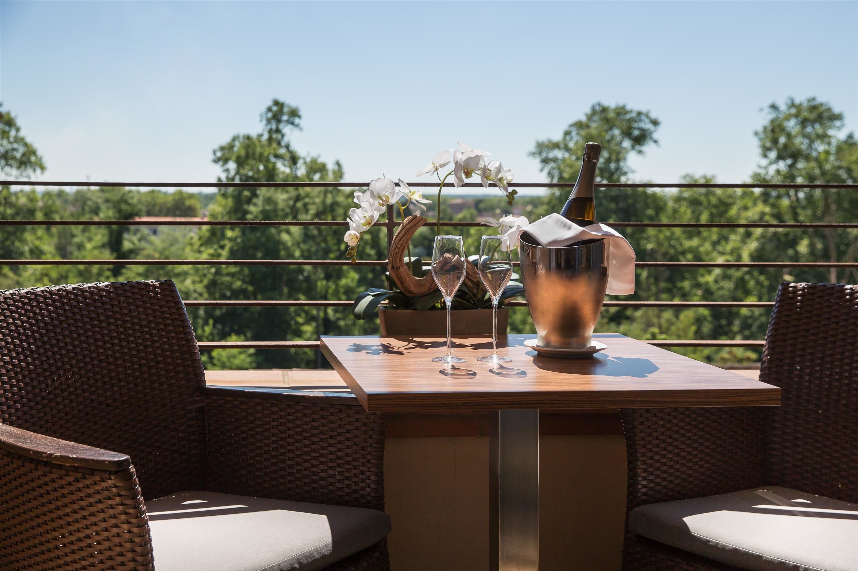 Tweepersoonskamer, terras (Privilege) | Kamervoorziening