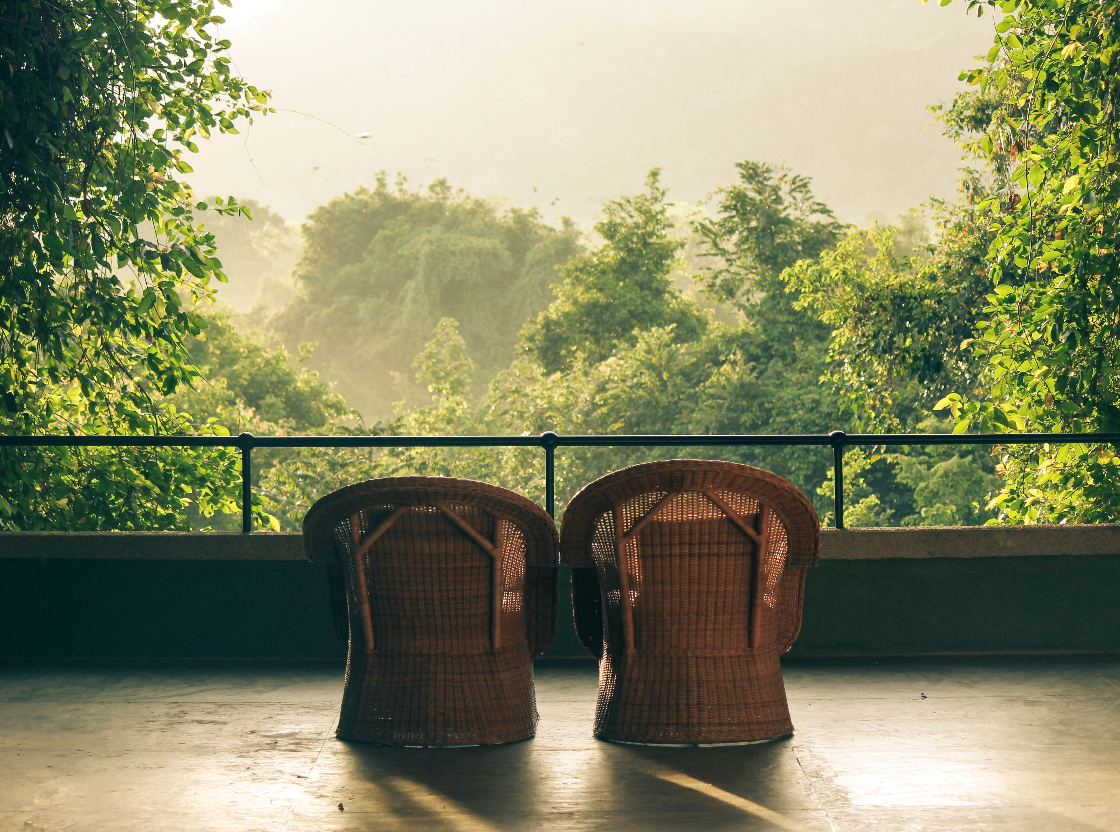 Two wicker chairs on a balcony with a view of dense green foliage.