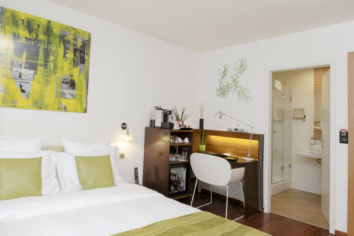 Standard Double Room | Hypo-allergenic bedding, minibar, in-room safe, desk