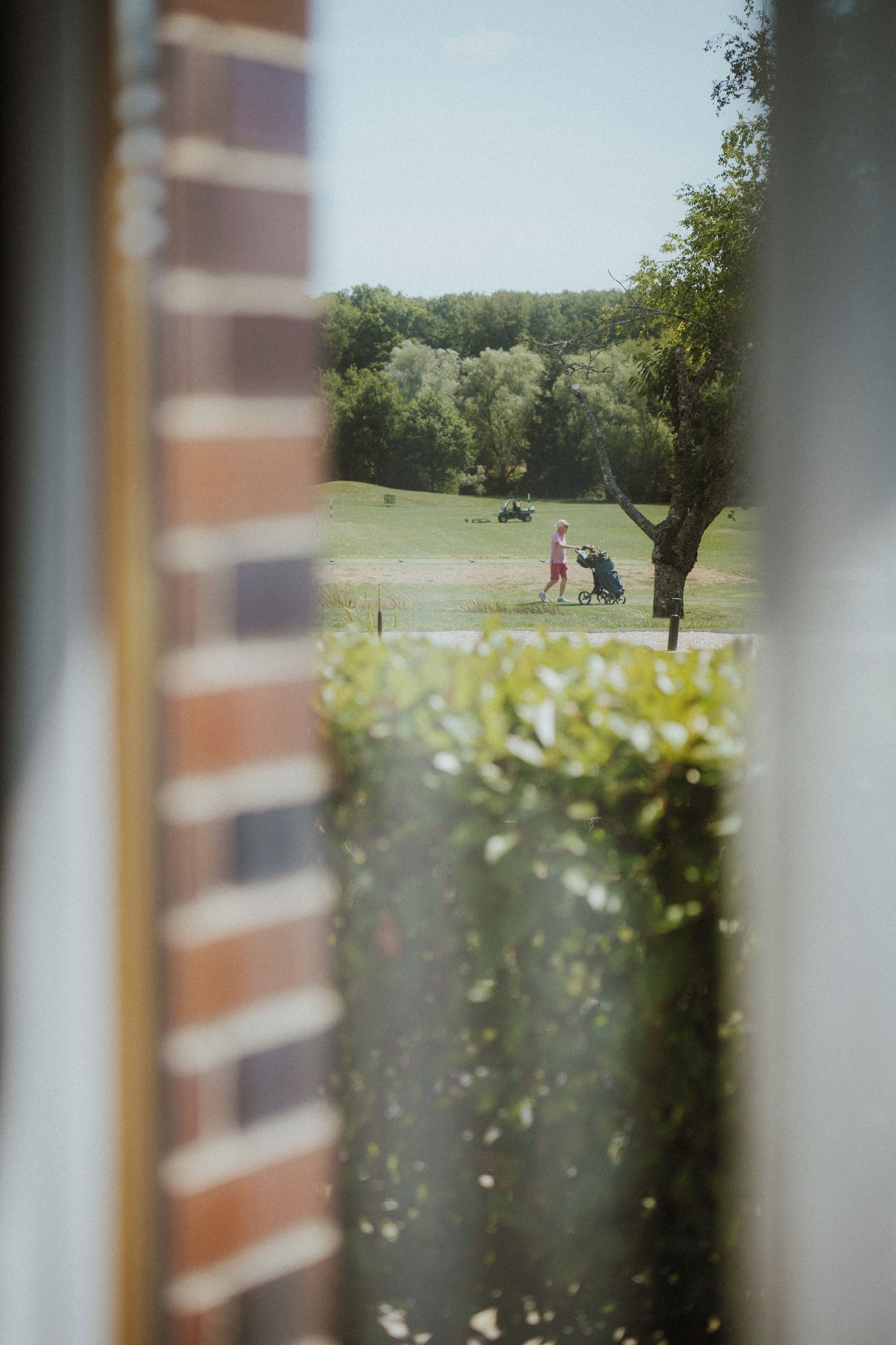 A view through a window with a brick wall, a tree, and a grassy field.