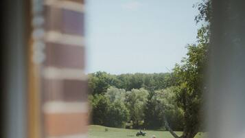 A view through a window with a brick wall, a tree, and a grassy field.