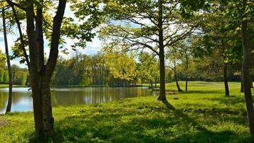 A serene lakeside park with trees and a calm body of water.