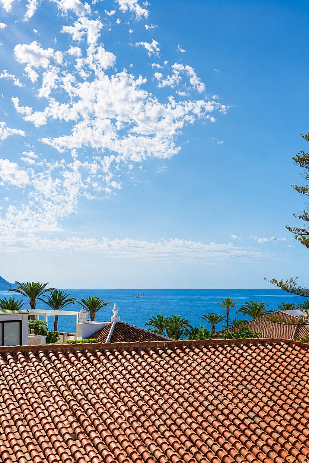 Foto - Puerta del Mar
