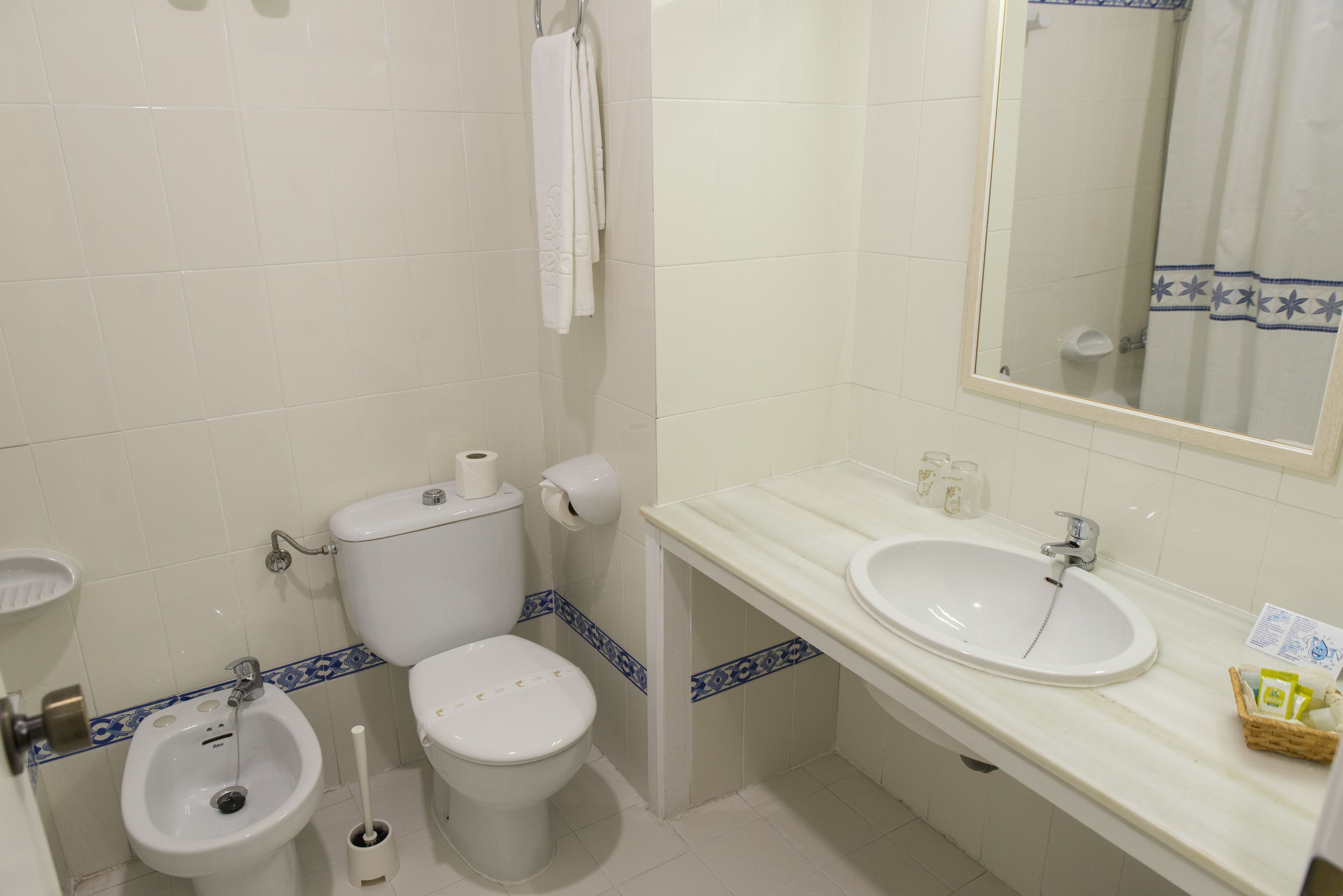 single room | bathroom | bathtub, free toiletries, hair dryer, bidet
