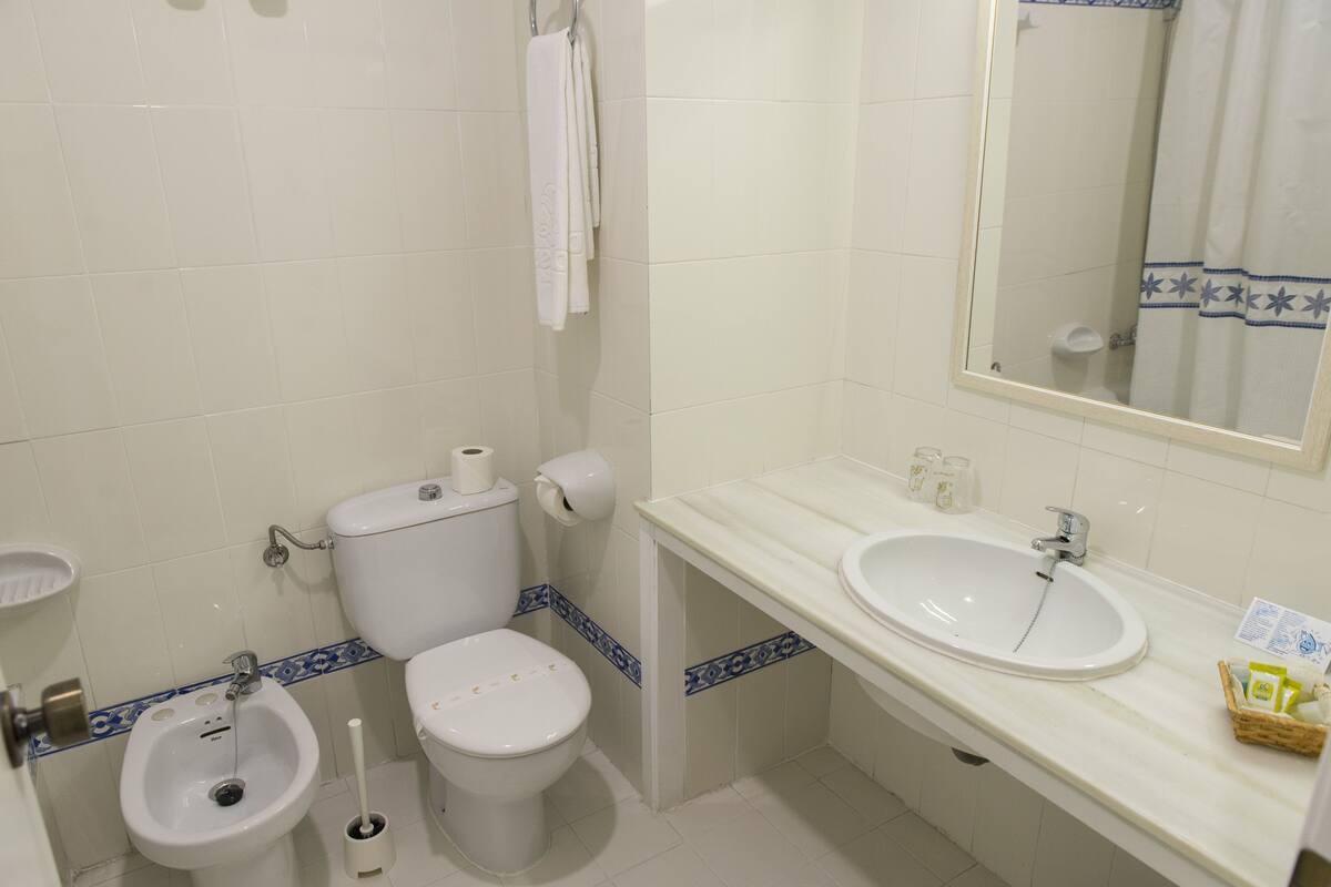 single room | bathroom | bathtub, free toiletries, hair dryer, bidet
