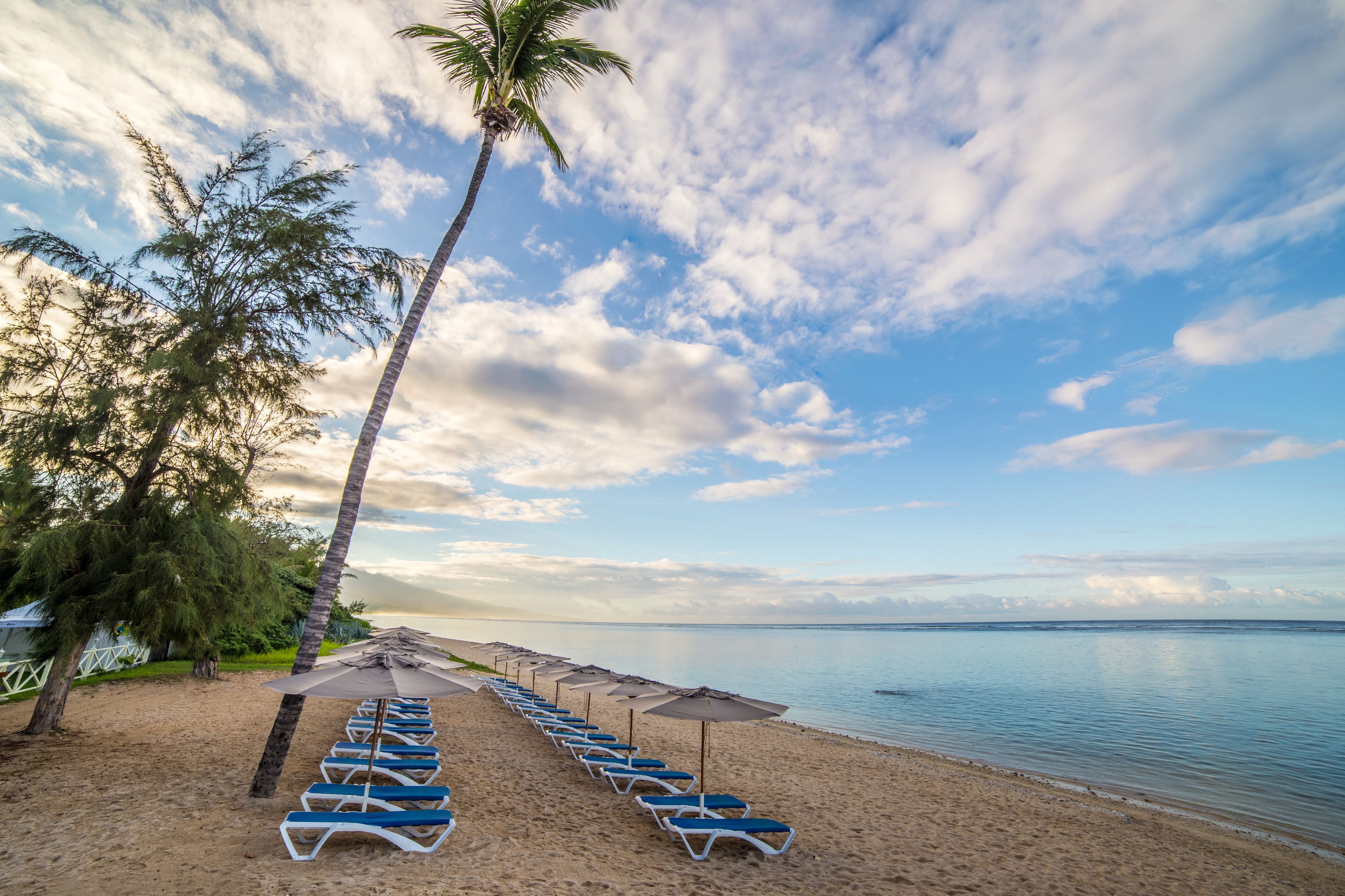 Plage, sable blanc, chaises longues, parasols