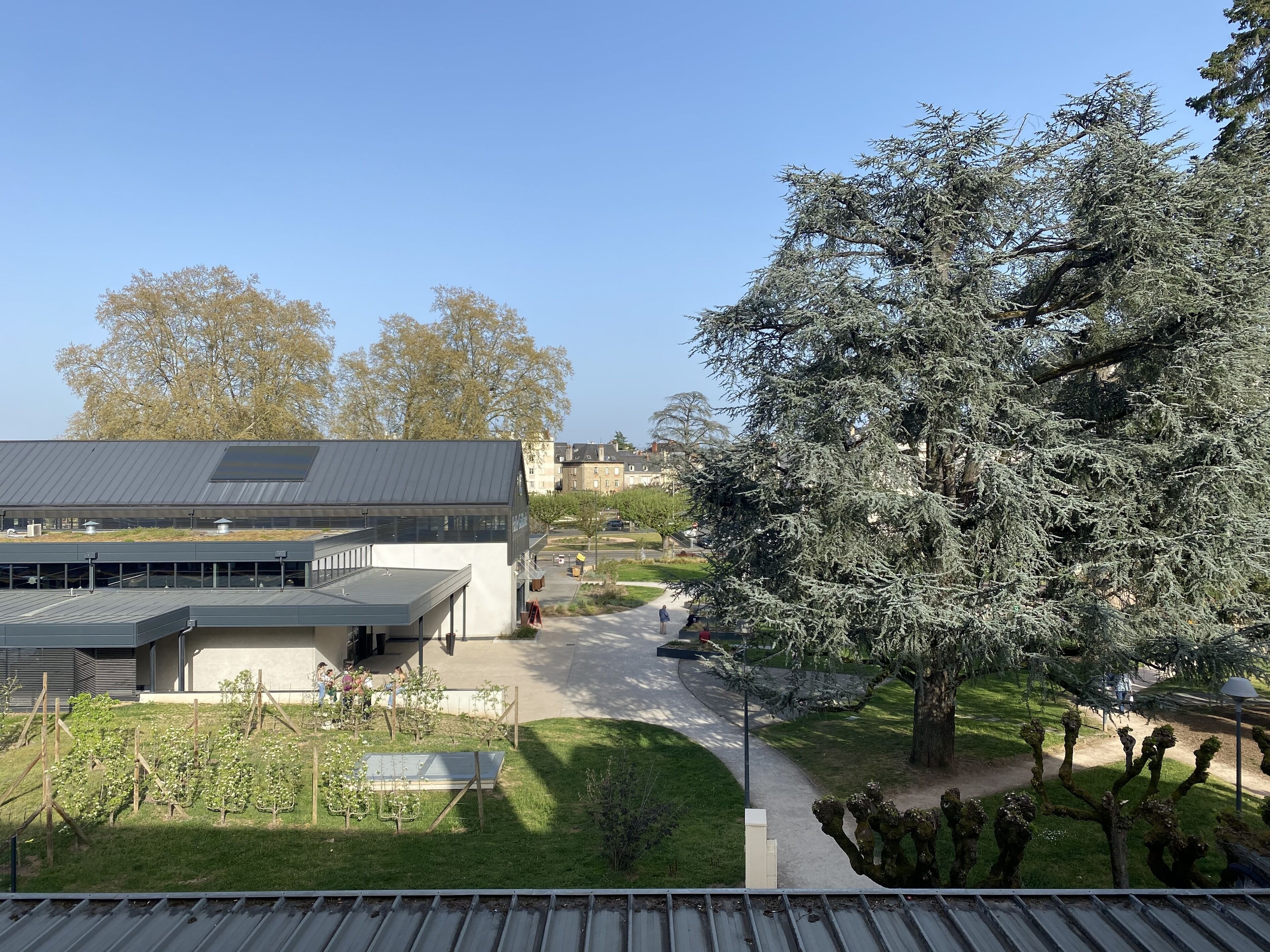 family suite, 2 bedrooms | desk, soundproofing, free cots/infant beds, free wifi